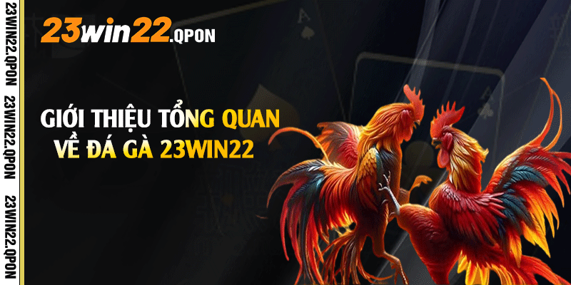 Giới thiệu tổng quan về Đá Gà 23win22